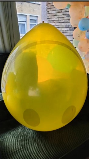 24 reactions | this big one is a 36 inch Chinese balloon , this one is fully inflated to full size you have also seen me playing with this balloon a few times in my previous reels, I bought this one via Ebay 4 pieces 14 euros I paid way too much, I have now found this one on Alibaba only 33 euro cents each mega very cheap @my_crazy_balloonies_world #looner #looners #nonpopper #nonpop #loveballoons #bigballoons #balloons #ballonnen #ballon | Mycrazyballooniesworld Jeffrey | Facebook