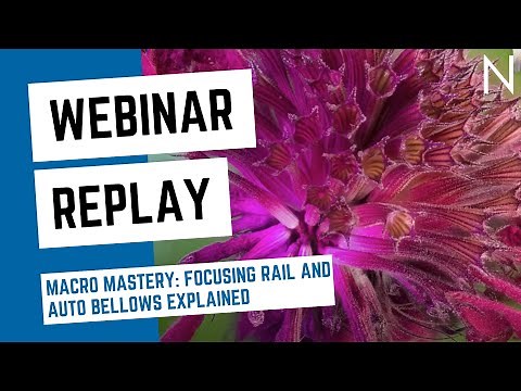 WEBINAR REPLAY: Macro Mastery: Focusing Rail and Auto Bellows Explained