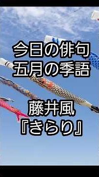 #鯉幟の季語#有名な俳句#きらり#藤井風