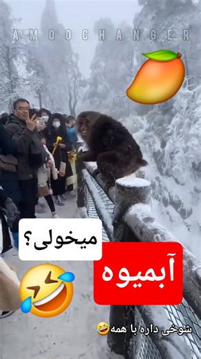 بفرمایید آب انبه🥭🤣🤣🤣🤣. #خنده #کمدی #طنز #ایران #دوبله #دوبله_طنز