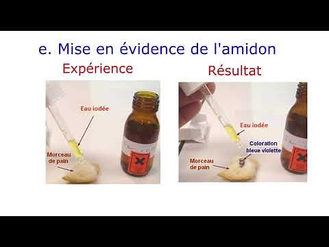 The chemical composition of food