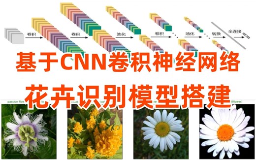 干货！基于卷积神经网络的花卉识别实战，计算机博士手把手带你搭建图像识别模型！（人工智能/深度学习/神经网络/CNN））