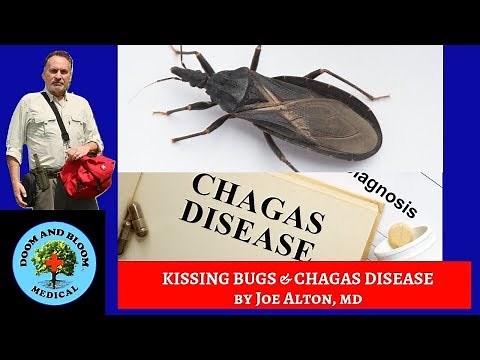 Kissing Bugs and Chagas Disease: Prevention, Symptoms and Treatment