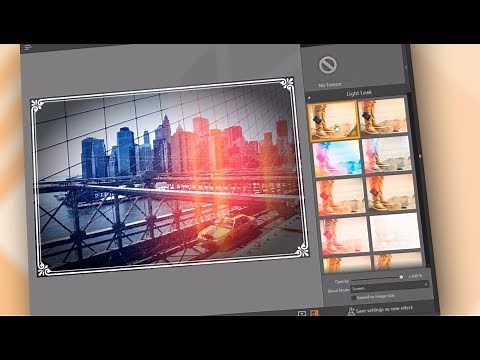 12 Amazing Websites for Free Stock Photos [2025 Update]