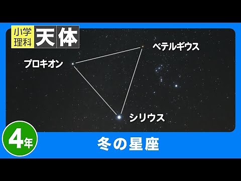 小学理科 天体｜４年｜冬の星座