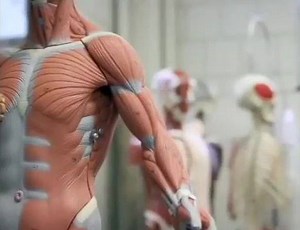 8.7K views · 12 reactions | Take the power of massage into your own...