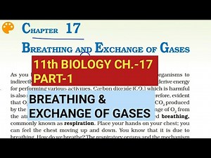 Class 11 Biology|Ch.-17 |Part-1||Breathing & exchange of gases||Study with Farru