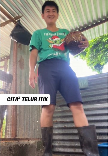 Engaging Duck Drama: How to Interact with Ducks