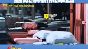 海运发货全流程实操指南！外贸新人必看的6个关键步骤