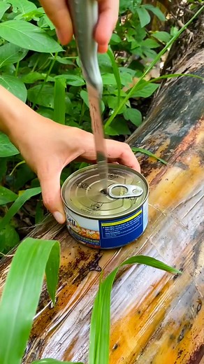 19K views · 30 reactions | ⛺ نصائح للتخييم لتساعدك على النجاة في الأدغال  | الجانب المشرق Bright Side Arabic | Facebook