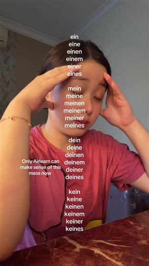 Airlearn is the OG saviour #airlearn #airlearnpartner #air197 #German #pronouns
