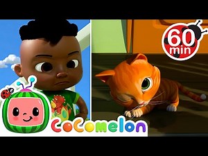 Taking Care of Pets Song | CoComelon Animal Time - Learning with Animals | Nursery Rhymes for Kids