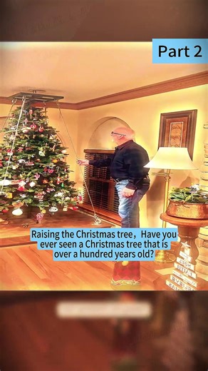 Exploring a Century-Old Christmas Tree