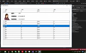 VS2022/[WPF]DataGrid如何展示隐藏每行的详情页