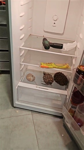 Refrigerator Khind brand remove pcb board.