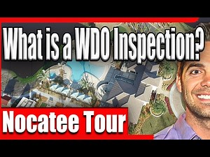 What is a WDO Inspection