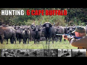 Hunting 6 Cape Buffalo