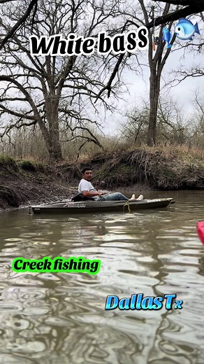 Creek Fishing Adventures in Dallas