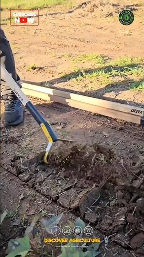 Best Manual Weeding Tool