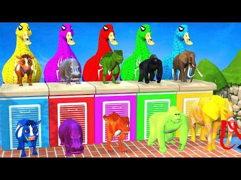 A fun 3D slide game featuring zoo animals – Animal Adventures