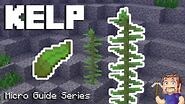 Kelp - Minecraft Micro Guide