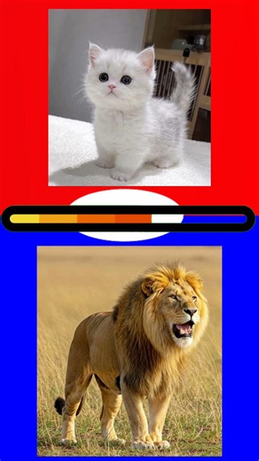 ayo tebak kuis ini ##tebaktebakan #tebakgambar #quiz