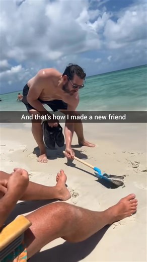 3.1K views | He passed the vibe check  | Creative DesignPoinT | Facebook