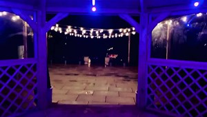 GRAND UNVEILING!! Who loves it?! 😍😍😍 | Whitley Hall Hotel Sheffield