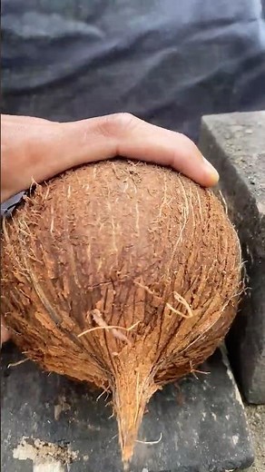 smart way to open a coconut from its shell
