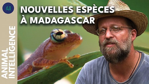 Documentaire | À la découverte de la biodiversité de Madagascar