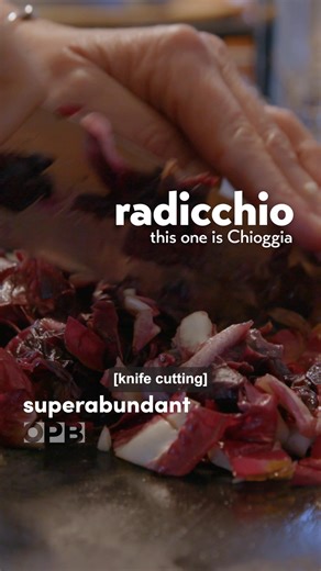 Radicchio is kinda having a moment. The bitter, leafy vegetable has been called the ‘It Girl” of winter and comes in an array of colors from deep purple to millennial pink. There's actually A LOT to love about the colorful crop, including that it grows really well in the Pacific Northwest. It’s also versatile and can do way more than just liven up your salad bowl. In Italy–the birthplace of radicchio–it’s often cooked, so we asked Lane Selman of the Culinary Breeding Network to teach us how to m
