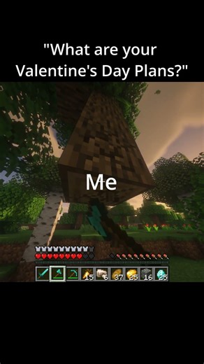 my valentines plane #shortvideo #valentinesday#minecraft#k #minecraftbuilding#minecraftclips #shorts