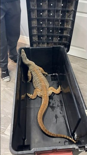 My new Argus Monitor!
