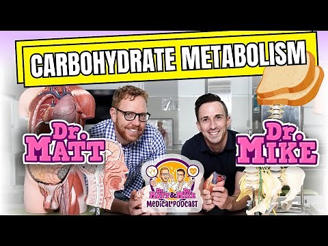 Carbohydrate Metabolism - Glycolysis, Krebs Cycle, and Electron Transport Chain | Podcast