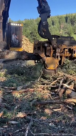 1 machine but many functions👍 | Media 2