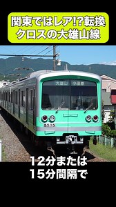 関東ではレアな転換クロスに乗れる大雄山線 #鉄道旅