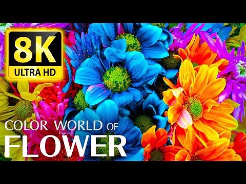 The Largest Flower Collection in the World 8K HDR 60FPS DEMO - Relaxing music and nature sounds 8K
