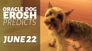 17K views | It's Friday, Friday, Erosh is gettin' down on Friday! Join the party with him and his predictions for today's matches!  Serbia vs Switzerland   Brazil v Costa Rica   Nigeria v Iceland  How are your own prediction games doing, any luck so far?  | Goodgame Studios | Facebook