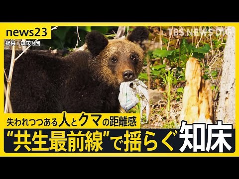 変わったのはクマか人か…「ヒグマの人慣れ」“共生最前線”知床で深刻化 “エサやり”・“クマ待ち” 問われる人間のモラル 8月には世界遺産登録後初の死亡事故も【news23】｜TBS NEWS DIG