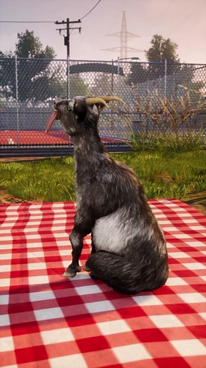 i look quite pretty #goatsimulator3 #pilgor #fyp #foryou #foryoupage