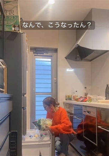 パニック障害と不安についての心の旅