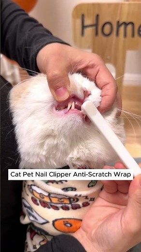 Prevent Scratches and Bites: Nail Clipping with the Anti-Scratch Wrap