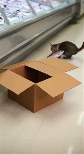 Heist Completed: One Fish Zero Witnesses Mastering The Ultimate Catch #fishingtips #heist #outdoors