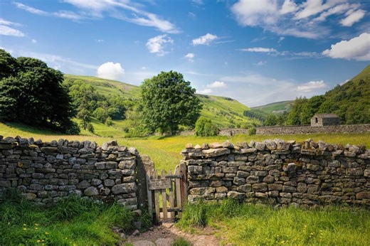 The best place to visit in Yorkshire to experience incredible wildflower meadows