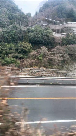 【JR四国土讃線】チラリと見える吉野川と険しそうな山道！