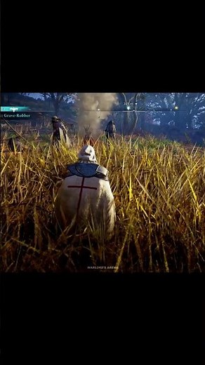 Viking Fury Attack - AC Valhalla