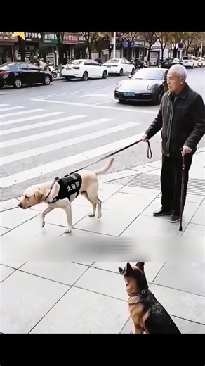 La Dot Qui a Révélé Son Vrai Visage #Paris #pourtoiii #France #drame