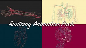 Anatomy Animation Pack