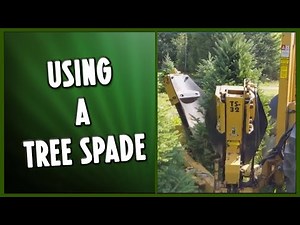 Using a Tree Spade