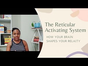 The Reticular Activating System | How Your Brain Shapes Your Reality